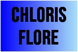 chloris.jpg