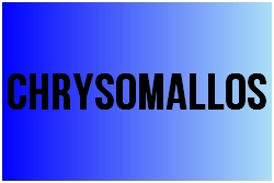chrysomellos.jpg