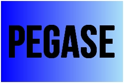 pegase.jpg